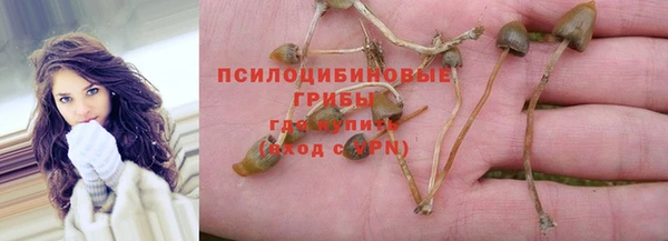 стаф Алексин