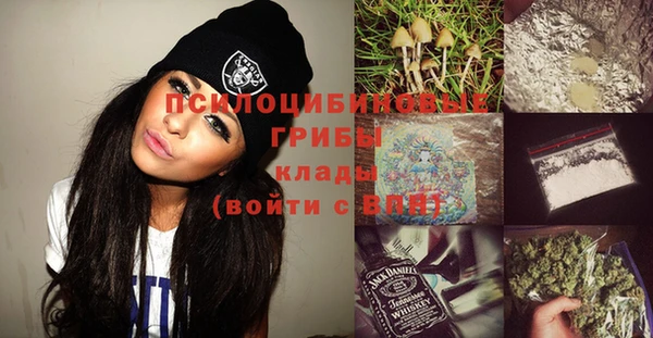 apvp Алексеевка