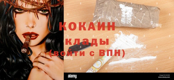 стаф Алексин