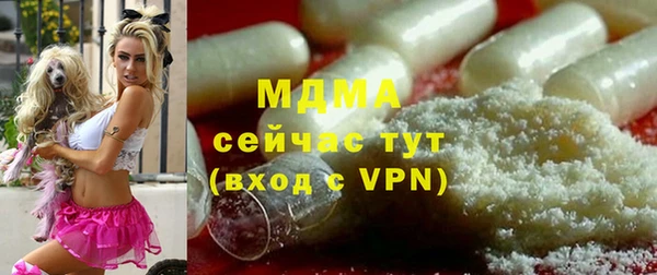 стаф Алексин