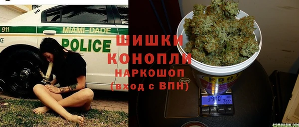 трава Алзамай