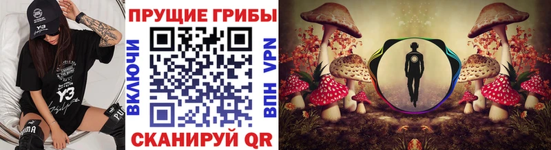 Псилоцибиновые грибы MAGIC MUSHROOMS  Дмитров 